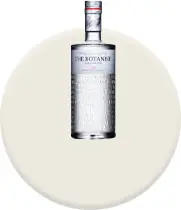 Gin
